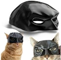 Cat Bat Mask for $13 + free shipping w/ Prime