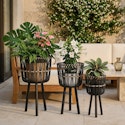 Bayou Breeze Wicker Planter Stand Set for $39 + free shipping