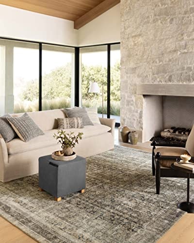 Loloi Amber Lewis Morgan 7'-3" x 9'-3" Area Rug: $139.08 Loloi Amber Lewis Morgan 7'-3" x 9'-3" Area Rug: $139.08