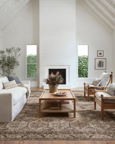 Loloi Amber Lewis Billie 6'x9' Area Rug: $104.53