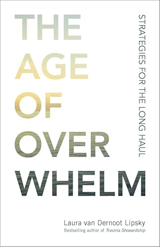 The Age of Overwhelm: Strategies for the Long Haul: $2.99 The Age of Overwhelm: Strategies for the Long Haul: $2.99