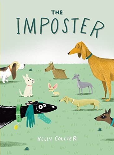 The Imposter Picture Book: $11.85 The Imposter Picture Book: $11.85