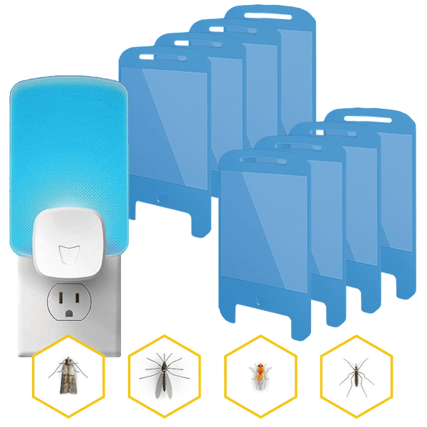 Raid Essentials Flying Insect Light Trap 10-Piece Set: $19.99