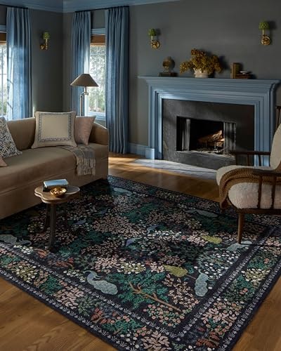 Loloi Rifle Paper Co. 2' x 3' Canopy Accent Rug: $22.99