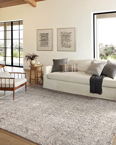 Loloi Amber Lewis Alie 7'10" x 10' Area Rug: $205.91