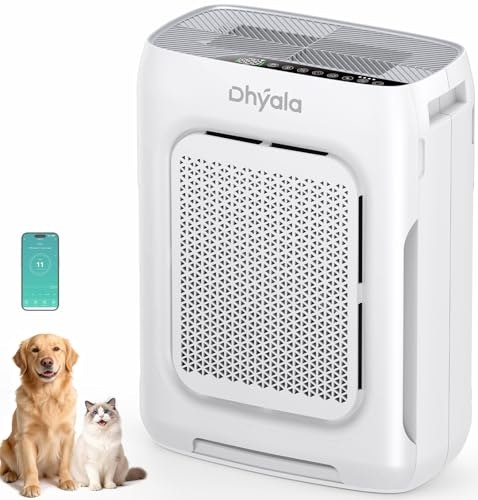 HEPA Air Purifier for 3,000-Square-Foot Rooms: $129.98 HEPA Air Purifier for 3,000-Square-Foot Rooms: $129.98