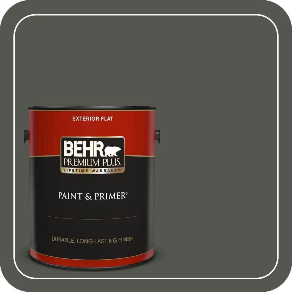 Twilight Forest Flat Exterior Paint & Primer 1-Gallon: $47.98 Twilight Forest Flat Exterior Paint & Primer 1-Gallon: $47.98