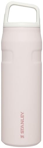 Stanley IceFlow 24-oz. Insulated Stainless Steel Water Bottle: $30.10 Stanley IceFlow 24-oz. Insulated Stainless Steel Water Bottle: $30.10
