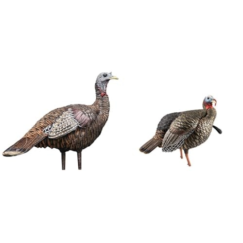 Avian-X Lookout Hen and Jake Turkey Decoy Bundle: $190.19 Avian-X Lookout Hen and Jake Turkey Decoy Bundle: $190.19