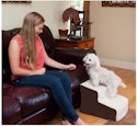 Pet Goodies Sale at Woot: Up to 72% off + extra 15% off + free shipping w/ Prime