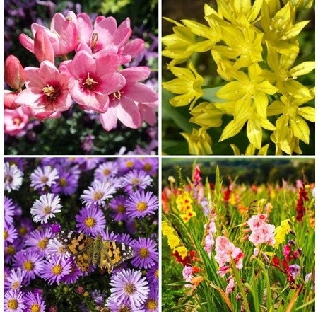 Summer Garden Savings Sale at Woot: Up to 73% off + extra 15% off Summer Garden Savings Sale at Woot: Up to 73% off + extra 15% off