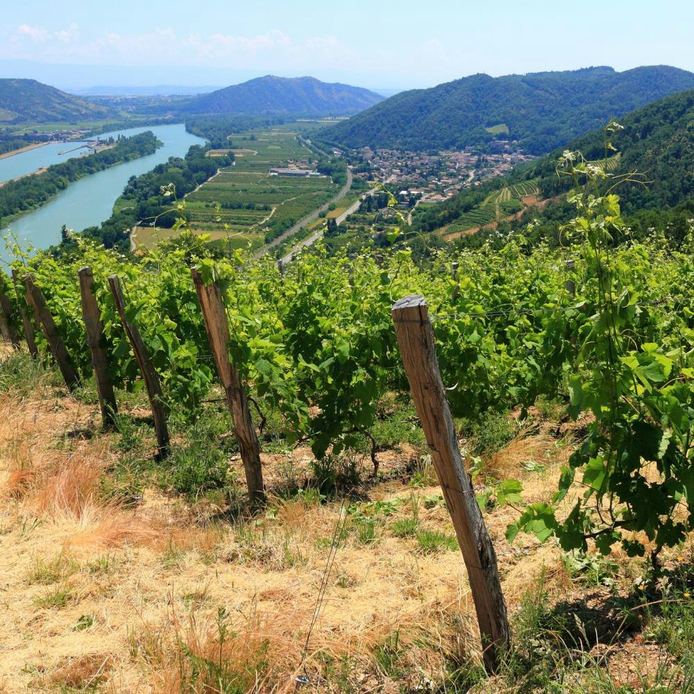 Riviera Travel 7-Night Burgundy, Rhône & Provence River Cruise: From $5,298 for 2