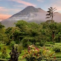 8-Night Arenal Volcano & Manuel Antonio Flight, Hotel, and Tour Vacation for From $4,378 for 2