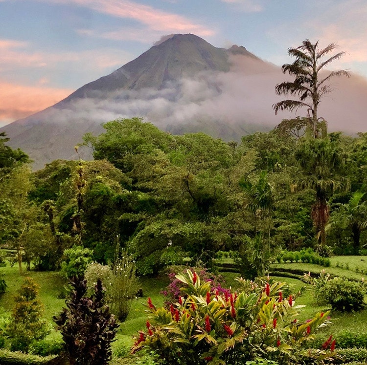 8-Night Arenal Volcano & Manuel Antonio Flight, Hotel, and Tour Vacation: From $4,378 for 2