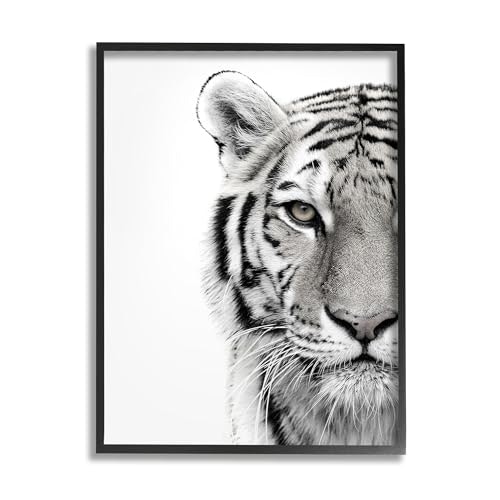 11 x 14-Inch White Tiger Framed Giclée Print: $21.11