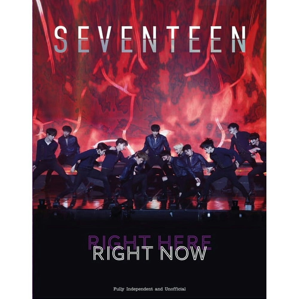 Seventeen Hardcover Book: $27.25