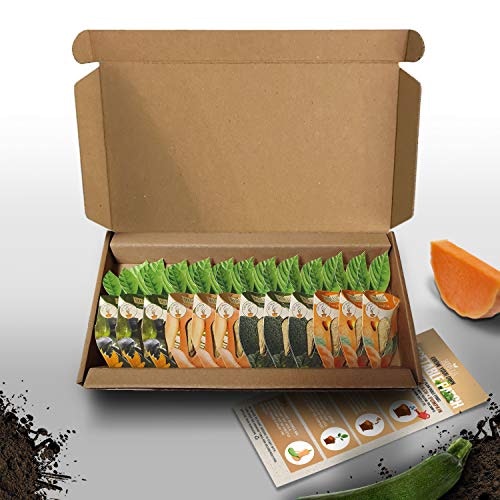 Vegtrug Seed Pods Vegetable Kit: $5.69