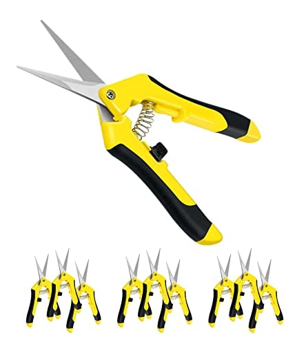 iPower 6.5-Inch Gardening Scissors 10-Pack: $14.23 iPower 6.5-Inch Gardening Scissors 10-Pack: $14.23