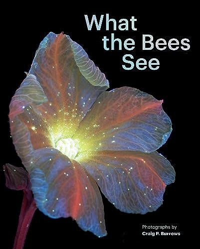 What the Bees See: A Honeybee's Eye View of the World: $13.45 What the Bees See: A Honeybee's Eye View of the World: $13.45