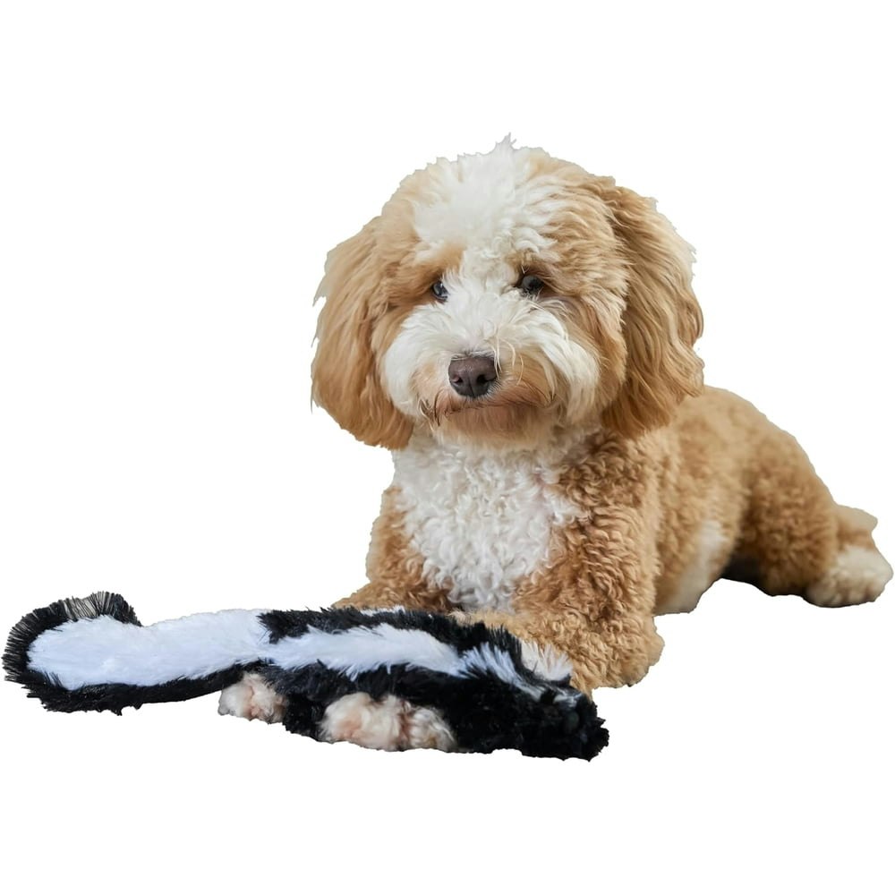 Spot Skinneeez 14-inch Skunk Dog Toy: $6.66 Spot Skinneeez 14-inch Skunk Dog Toy: $6.66