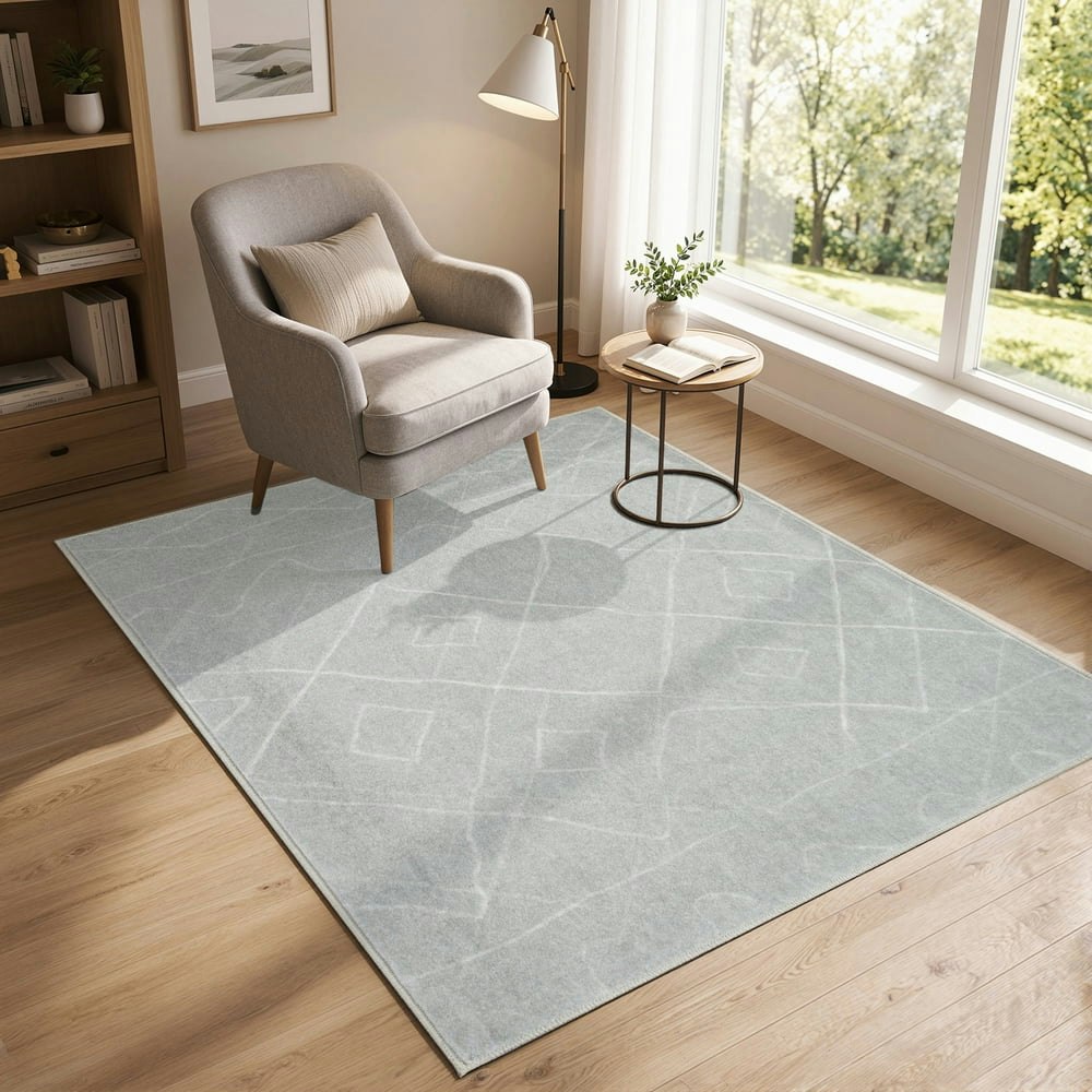 Rugking 4x6 Area Rug: $24.99