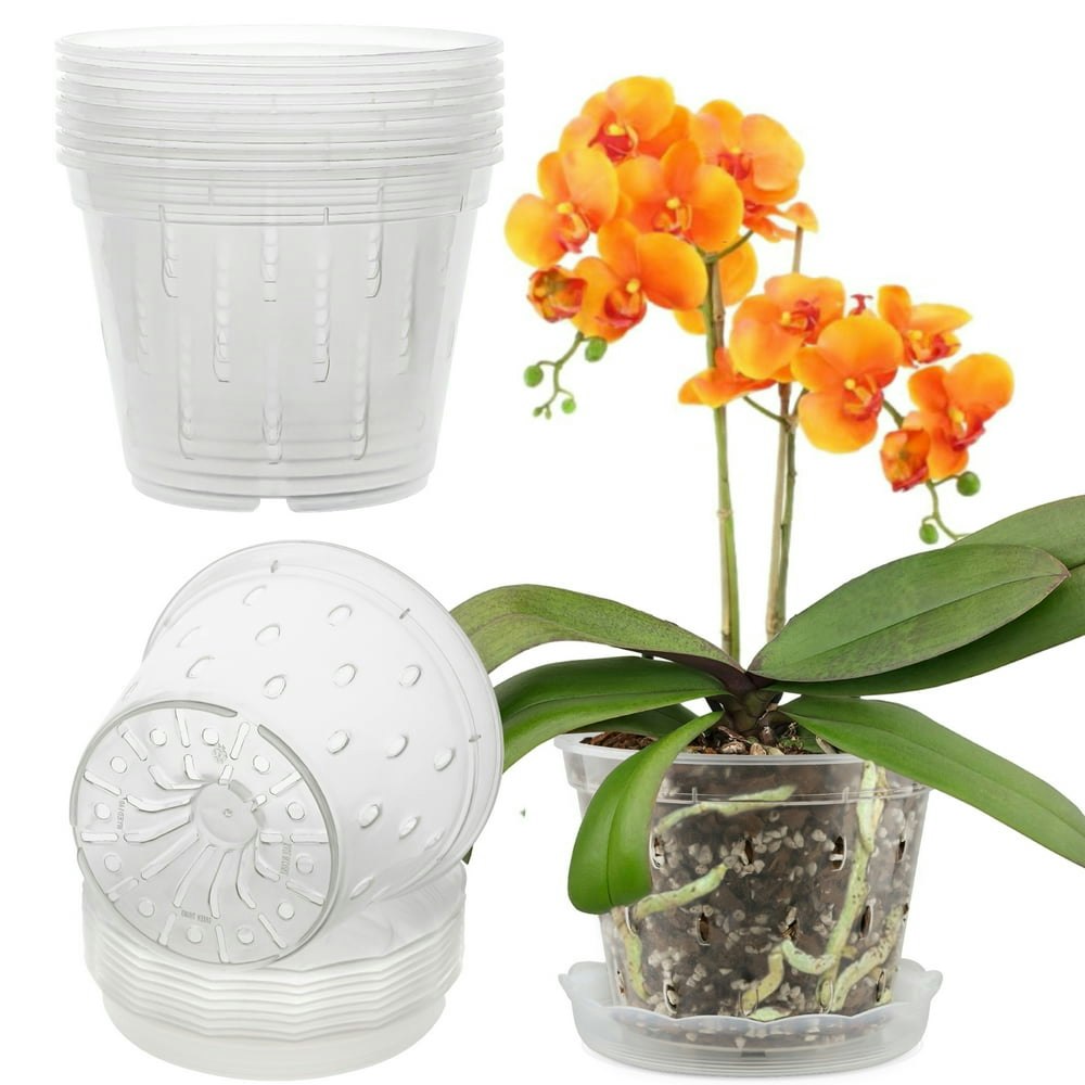 Fabulas 5.5-inch Slotted Orchid Pot and Saucer 8-Pack: $14.99