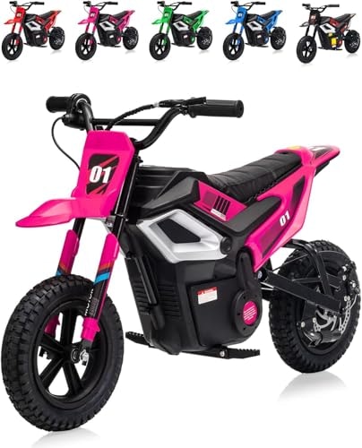 Garvee 24V 350W Electric Kids Dirt Bike: $242.99 Garvee 24V 350W Electric Kids Dirt Bike: $242.99