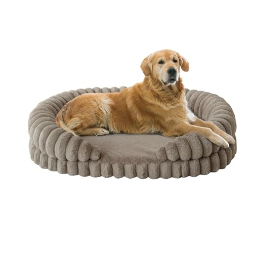 Balance 42-Inch Orthopedic Dog Bed: $59.48 Balance 42-Inch Orthopedic Dog Bed: $59.48