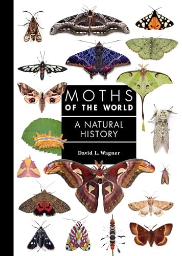 Moths of the World: A Natural History: $16.97