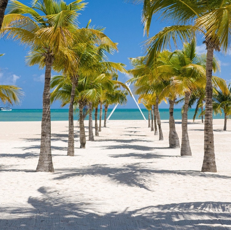 Princess 7-Night Western Caribbean Cruise: From $1,098 for 2 Princess 7-Night Western Caribbean Cruise: From $1,098 for 2