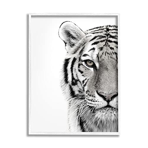 White Tiger Photography 11x14-Inch Framed Giclée Print: $27.50 White Tiger Photography 11x14-Inch Framed Giclée Print: $27.50
