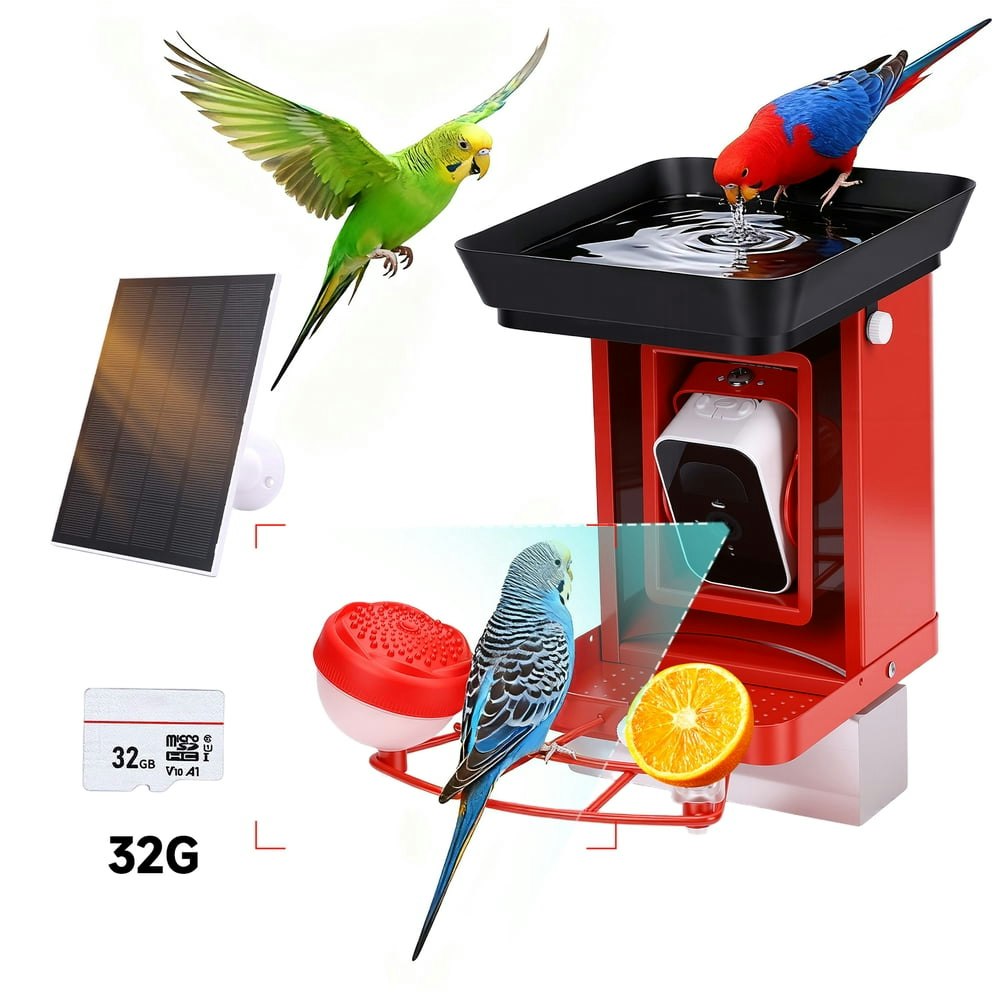 Solar-Powered Smart Bird Feeder with 2K Camera: $49.99 Solar-Powered Smart Bird Feeder with 2K Camera: $49.99