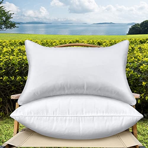 QSWRD 12x20-inch Waterproof Lumbar Throw Pillow Inserts 2-Pack: $19.54 QSWRD 12x20-inch Waterproof Lumbar Throw Pillow Inserts 2-Pack: $19.54