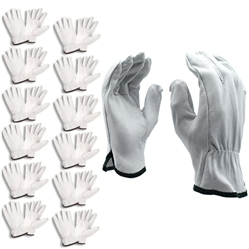 Cordova Premium Grain Goatskin Driver Gloves 12-Pack: $64.23 Cordova Premium Grain Goatskin Driver Gloves 12-Pack: $64.23