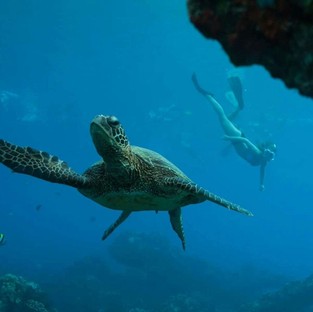 UnCruise Adventures 7-Night Hawaiian Seascapes Cruise: From $17,400 for 2 UnCruise Adventures 7-Night Hawaiian Seascapes Cruise: From $17,400 for 2