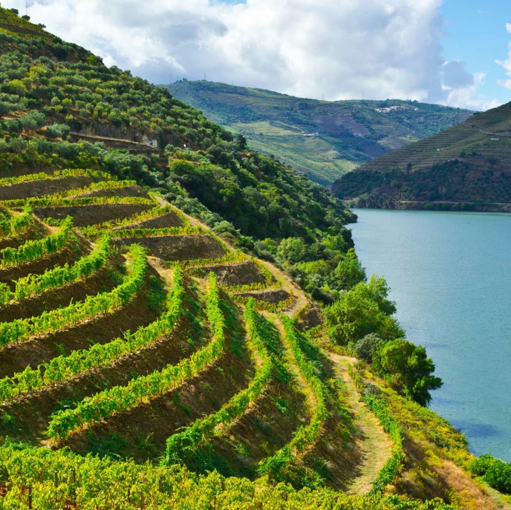 Indus Travels 7-Night Douro River Cruise w/ Flights: From $4,998 for 2