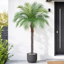 Keeplush 5-Foot Artificial Phoenix Palm Tree for $56 + free shipping