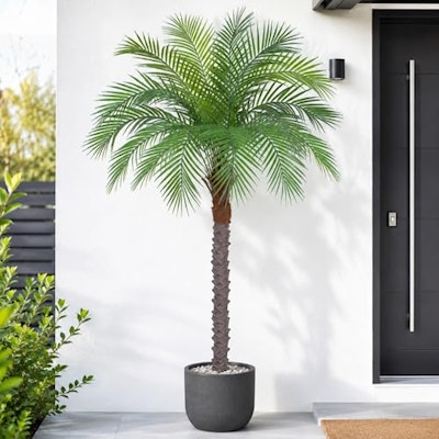 Keeplush 5-Foot Artificial Phoenix Palm Tree for $56 + free shipping