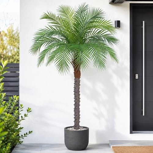 Keeplush 5-Foot Artificial Phoenix Palm Tree: $55.99 Keeplush 5-Foot Artificial Phoenix Palm Tree: $55.99