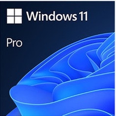 Microsoft Windows 11 Pro Lifetime License: $9.97