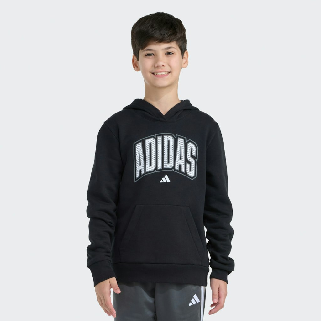 Long Sleeve Collegiate Hooded Pullover: $26 Long Sleeve Collegiate Hooded Pullover: $26