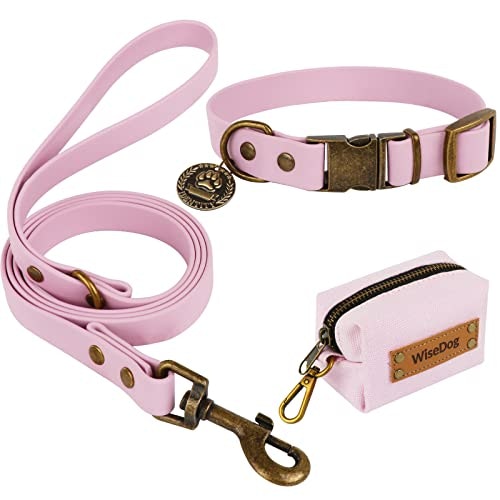 Wisedog Waterproof Dog Collar and Leash Set: $17.76