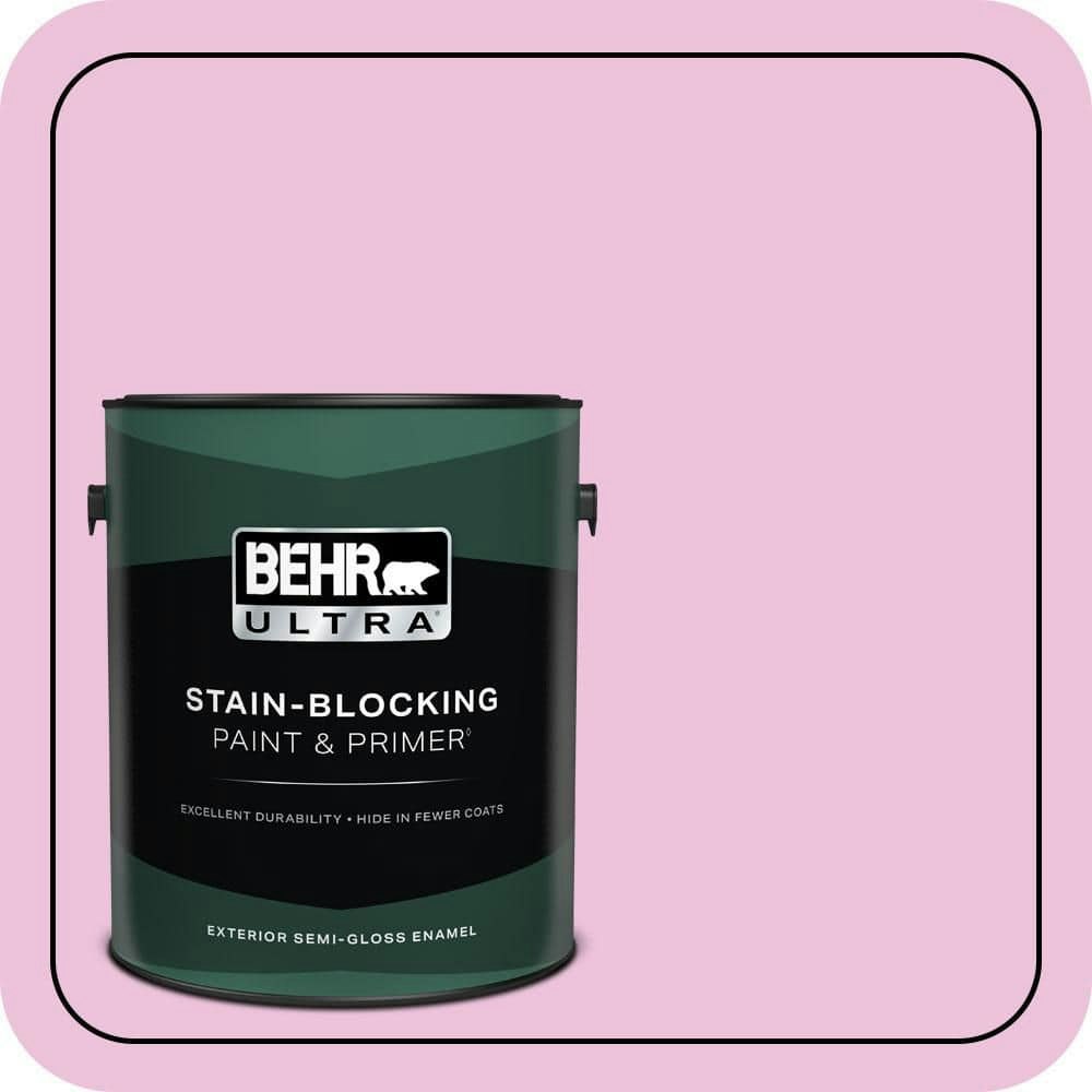 Behr Starlet Pink 1-Gallon Semi-Gloss Exterior Paint and Primer: $61.98 Behr Starlet Pink 1-Gallon Semi-Gloss Exterior Paint and Primer: $61.98