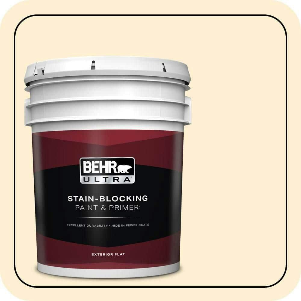 Downy Flat Exterior Paint and Primer 5-Gallon: $273 Downy Flat Exterior Paint and Primer 5-Gallon: $273