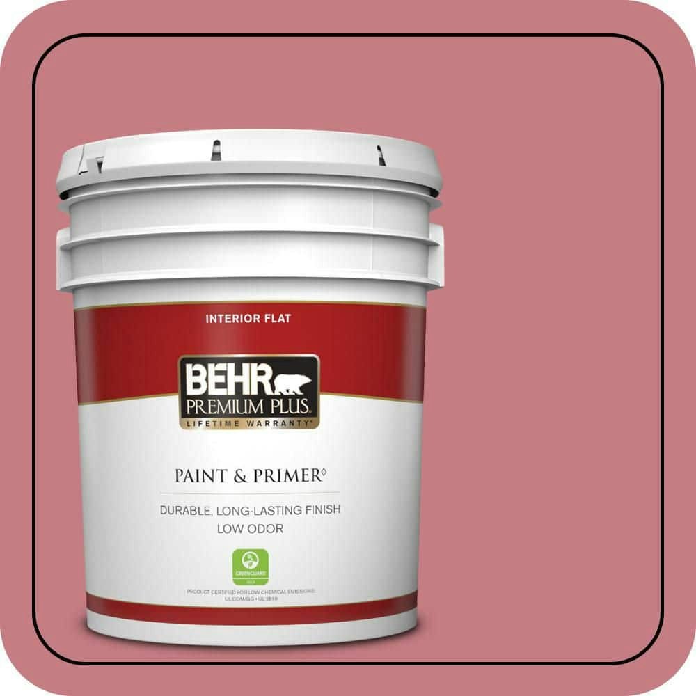 Enamored 5-Gallon Flat Interior Paint and Primer: $154