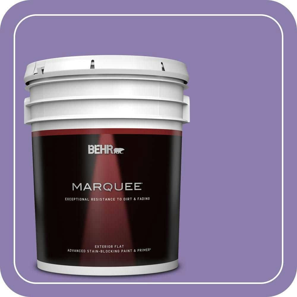 Behr Purple Agate Flat Exterior Paint & Primer 5-Gallon: $315