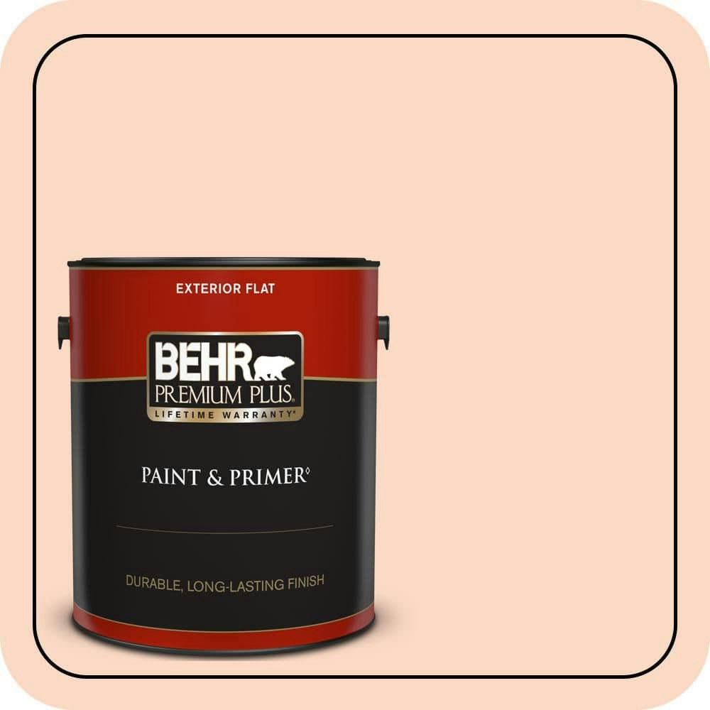 Behr Fire Mist Flat Exterior Paint & Primer 1-Gallon: $47.98 Behr Fire Mist Flat Exterior Paint & Primer 1-Gallon: $47.98