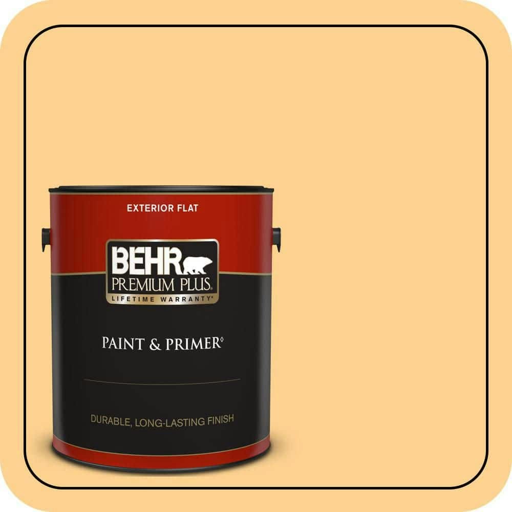 Home Decorators Collection Full Bloom Flat Exterior Paint & Primer 1-Gallon: $47.98 Home Decorators Collection Full Bloom Flat Exterior Paint & Primer 1-Gallon: $47.98