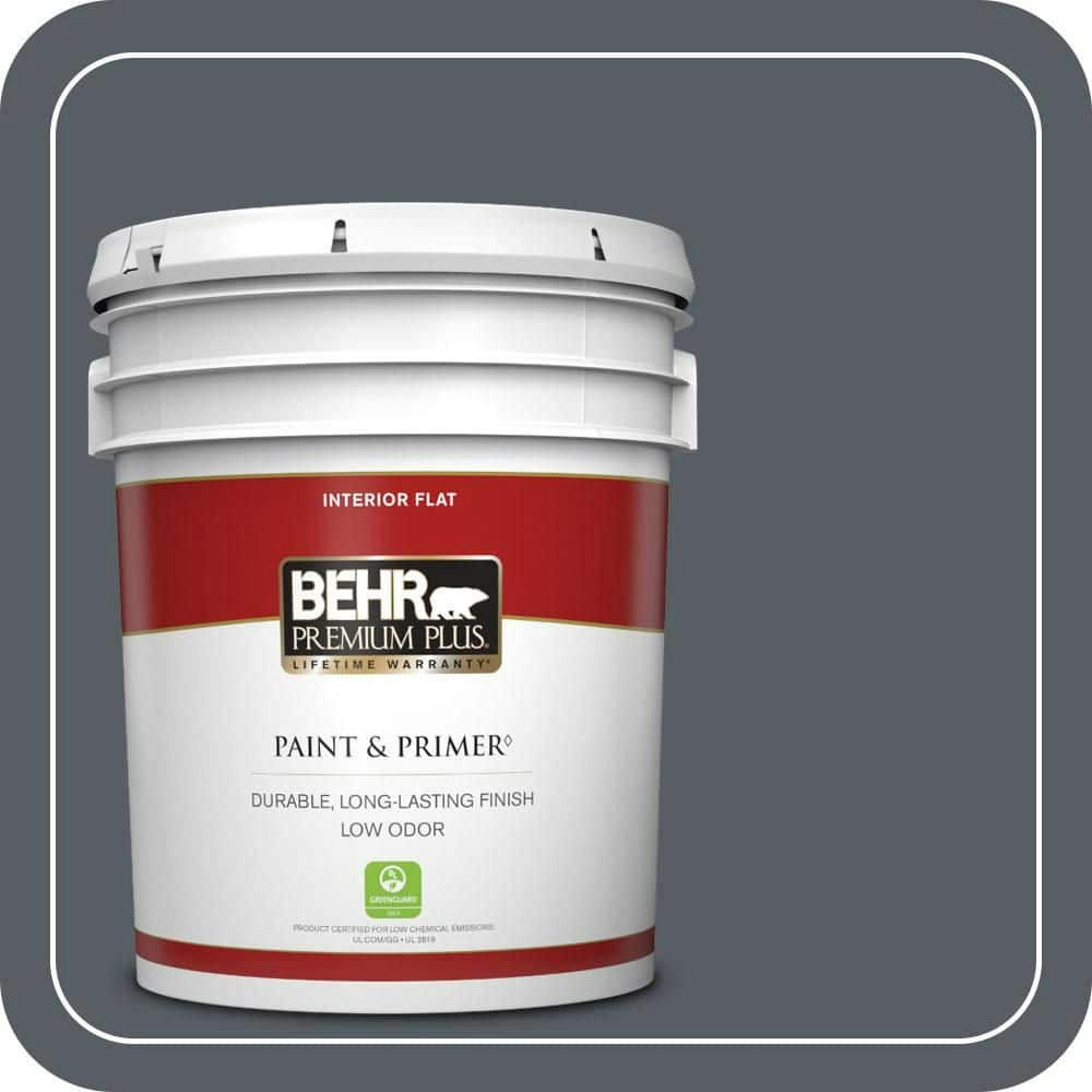 Distant Thunder 5-Gallon Flat Interior Paint and Primer: $154 Distant Thunder 5-Gallon Flat Interior Paint and Primer: $154
