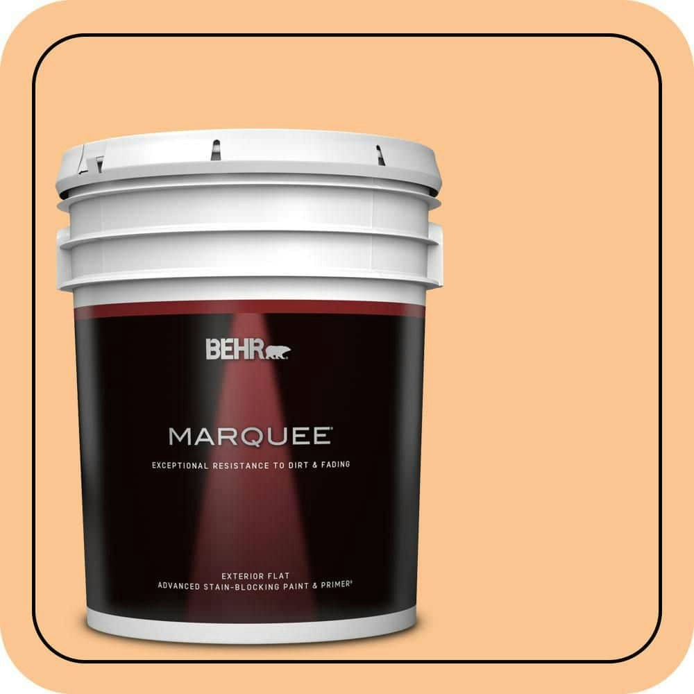 Behr Dainty Apricot 5-Gallon Flat Exterior Paint and Primer: $315 Behr Dainty Apricot 5-Gallon Flat Exterior Paint and Primer: $315